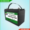 Pin Lithium 12V 100Ah LiFeO4