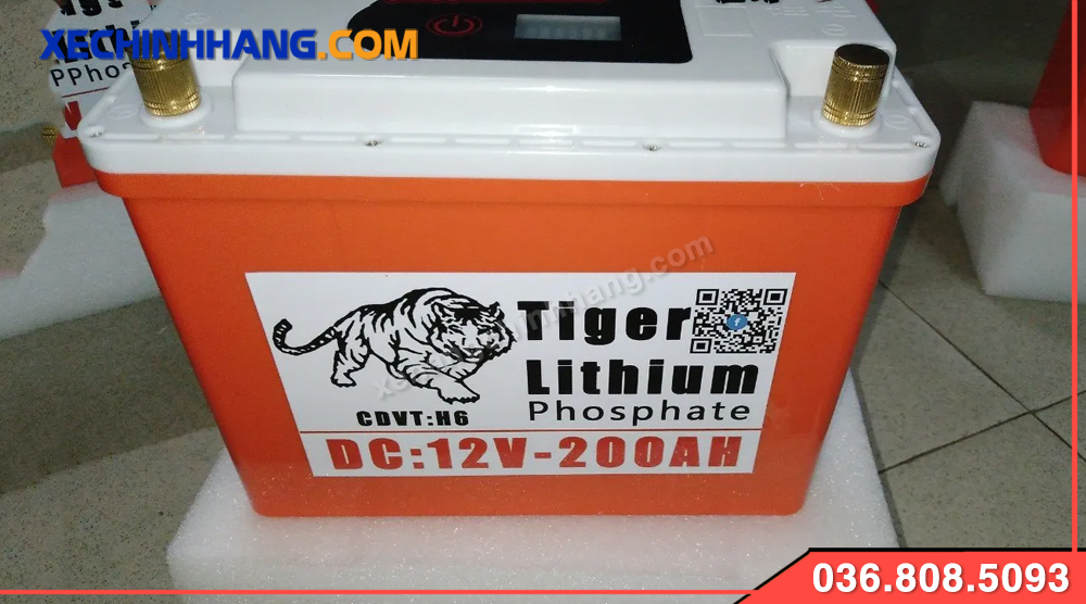 Pin Lithium Tiger 12V 100Ah