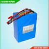 Pin Lithium-ion 12V 100Ah