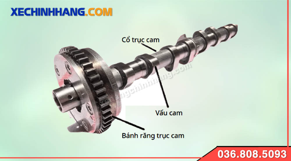 Cấu tạo của Trục Cam