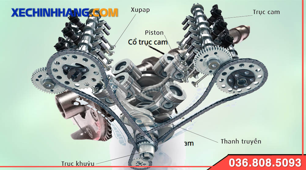 Trục cam dây xích