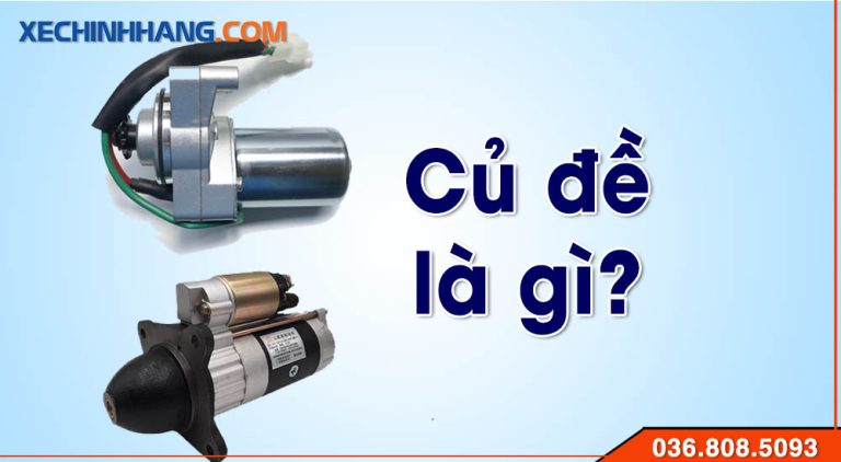 Củ đề là gì